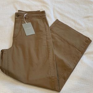 Everlane Cropped Chino
